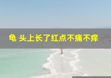 龟 头上长了红点不痛不痒